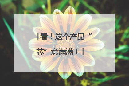 看！这个产品“芯”意满满！