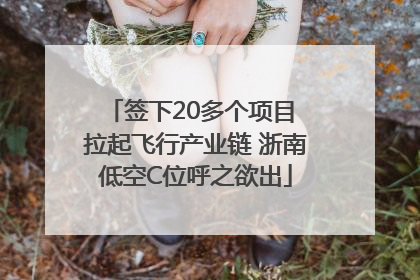 签下20多个项目 拉起飞行产业链 浙南低空C位呼之欲出