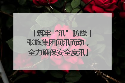 筑牢“汛”防线｜张旅集团闻汛而动，全力确保安全度汛
