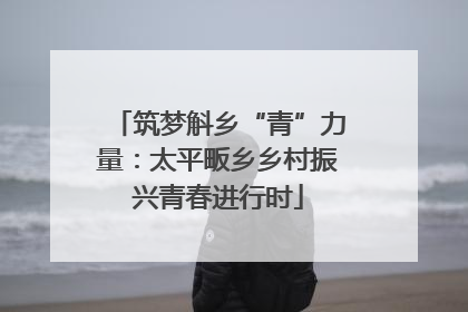 筑梦斛乡“青”力量：太平畈乡乡村振兴青春进行时