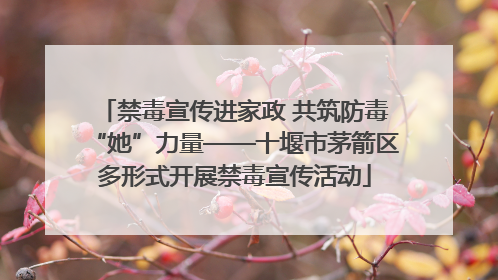 禁毒宣传进家政 共筑防毒“她”力量——十堰市茅箭区多形式开展禁毒宣传活动