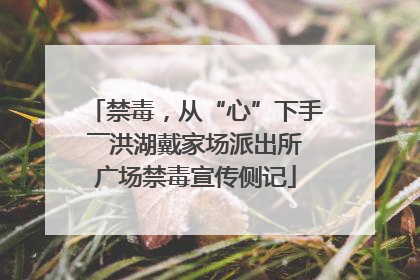 禁毒，从“心”下手――洪湖戴家场派出所广场禁毒宣传侧记