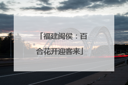 福建闽侯：百合花开迎客来