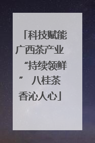 科技赋能广西茶产业“持续领鲜” 八桂茶香沁人心