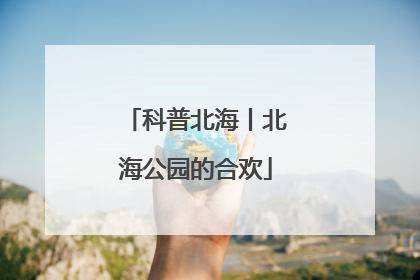 科普北海丨北海公园的合欢