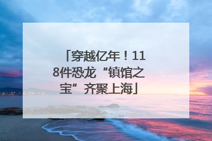 穿越亿年！118件恐龙“镇馆之宝”齐聚上海