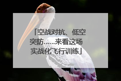 空战对抗、低空突防……来看这场实战化飞行训练