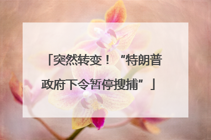 突然转变！“特朗普政府下令暂停搜捕”