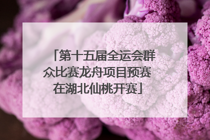 第十五届全运会群众比赛龙舟项目预赛在湖北仙桃开赛