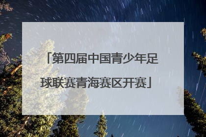 第四届中国青少年足球联赛青海赛区开赛