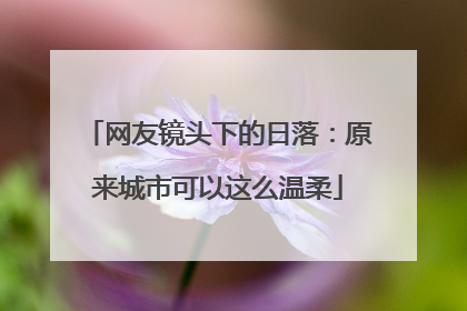 网友镜头下的日落：原来城市可以这么温柔