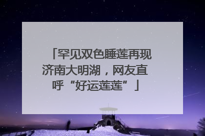 罕见双色睡莲再现济南大明湖，网友直呼“好运莲莲”