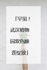 罕见！武汉植物园双色睡莲绽放