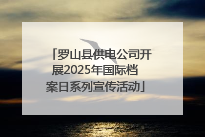罗山县供电公司开展2025年国际档案日系列宣传活动