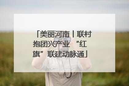 美丽河南丨联村抱团兴产业 “红旗”联建动脉通
