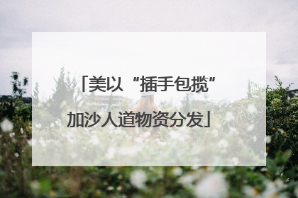 美以“插手包揽”加沙人道物资分发
