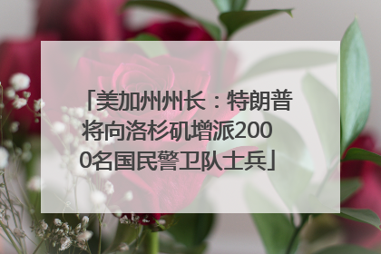 美加州州长：特朗普将向洛杉矶增派2000名国民警卫队士兵