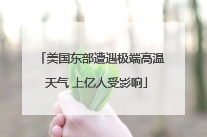 美国东部遭遇极端高温天气 上亿人受影响