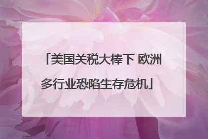 美国关税大棒下 欧洲多行业恐陷生存危机