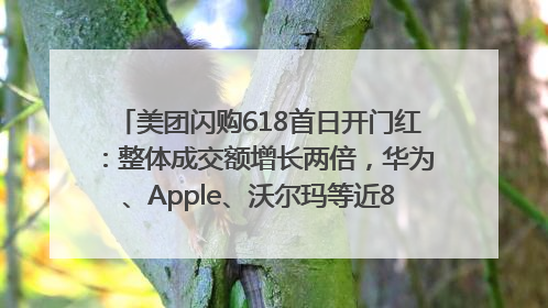 美团闪购618首日开门红：整体成交额增长两倍，华为、Apple、沃尔玛等近800个品牌翻倍增长