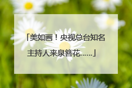 美如画！央视总台知名主持人来泉簪花……