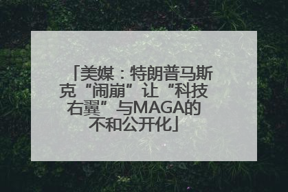 美媒：特朗普马斯克“闹崩”让“科技右翼”与MAGA的不和公开化