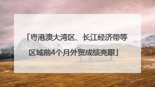 粤港澳大湾区、长江经济带等区域前4个月外贸成绩亮眼
