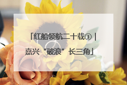 红船领航二十载③｜嘉兴“破浪”长三角