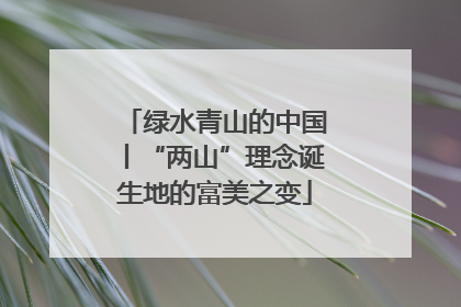 绿水青山的中国丨“两山”理念诞生地的富美之变
