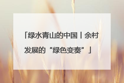 绿水青山的中国丨余村发展的“绿色变奏”