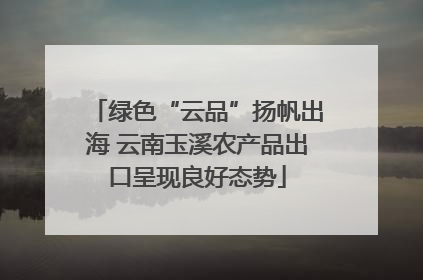 绿色“云品”扬帆出海 云南玉溪农产品出口呈现良好态势
