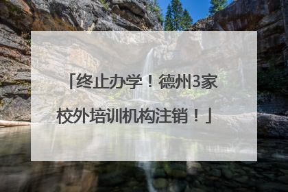 终止办学！德州3家校外培训机构注销！
