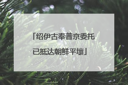 绍伊古奉普京委托已抵达朝鲜平壤
