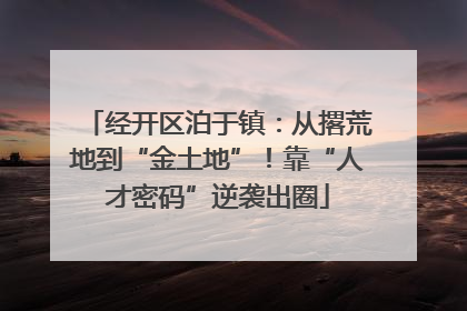 经开区泊于镇：从撂荒地到“金土地”！靠“人才密码”逆袭出圈