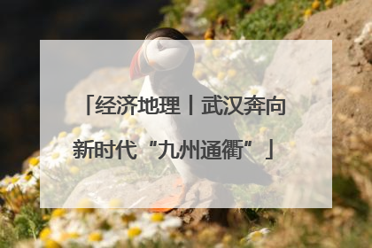 经济地理丨武汉奔向新时代“九州通衢”