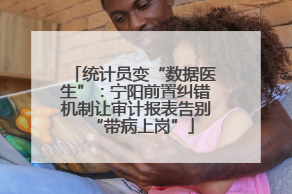 统计员变“数据医生”：宁阳前置纠错机制让审计报表告别“带病上岗”