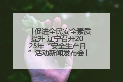 促进全民安全素质提升 辽宁召开2025年“安全生产月”活动新闻发布会