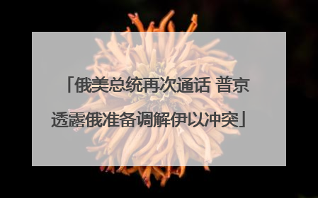 俄美总统再次通话 普京透露俄准备调解伊以冲突