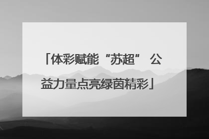 体彩赋能“苏超” 公益力量点亮绿茵精彩