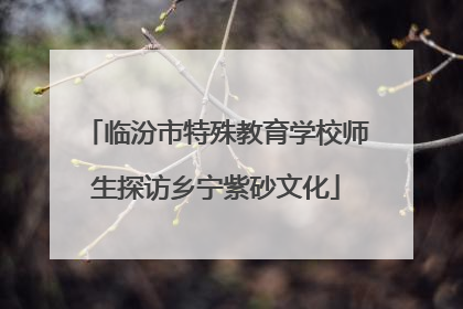 临汾市特殊教育学校师生探访乡宁紫砂文化