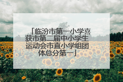 临汾市第一小学喜获市第二届中小学生运动会市直小学组团体总分第一
