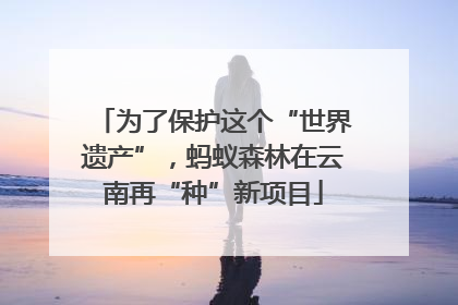 为了保护这个“世界遗产”，蚂蚁森林在云南再“种”新项目