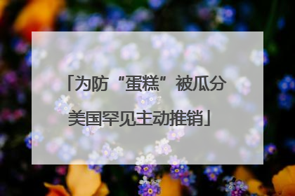 为防“蛋糕”被瓜分 美国罕见主动推销
