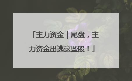 主力资金｜尾盘，主力资金出逃这些股！
