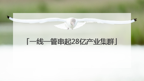 一线一管串起28亿产业集群