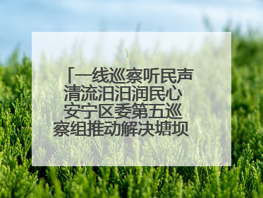 一线巡察听民声 清流汨汨润民心 安宁区委第五巡察组推动解决塘坝通水难题