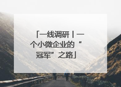 一线调研丨一个小微企业的“冠军”之路