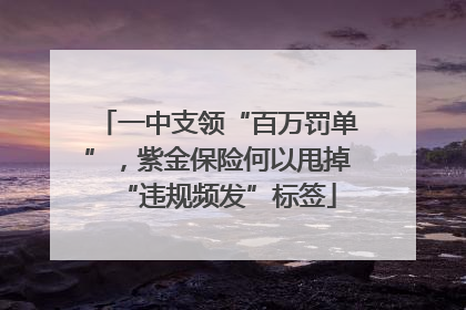 一中支领“百万罚单”，紫金保险何以甩掉“违规频发”标签