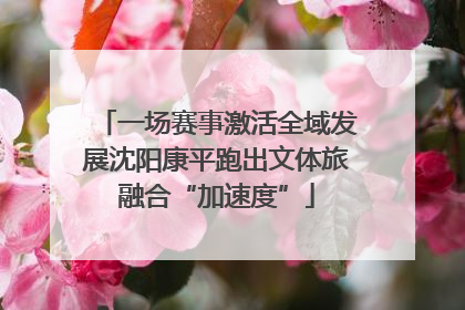 一场赛事激活全域发展沈阳康平跑出文体旅融合“加速度”