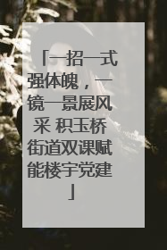 一招一式强体魄，一镜一景展风采 积玉桥街道双课赋能楼宇党建